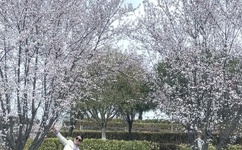 日本高清在线一区